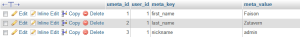 WordPress Usermeta Data