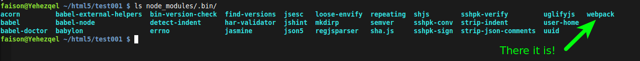 The contents of a node_modules/.bin directory